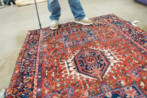 Spraying Repel on an oriental rug to prevent moths.